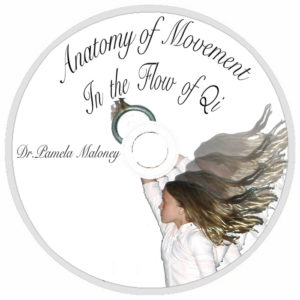 Anatomy of Movement - DVD