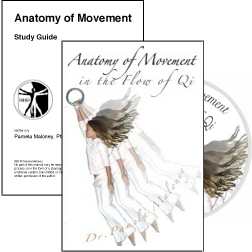 Anatomy of Movement