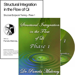 Structural Integration Flow of Chi